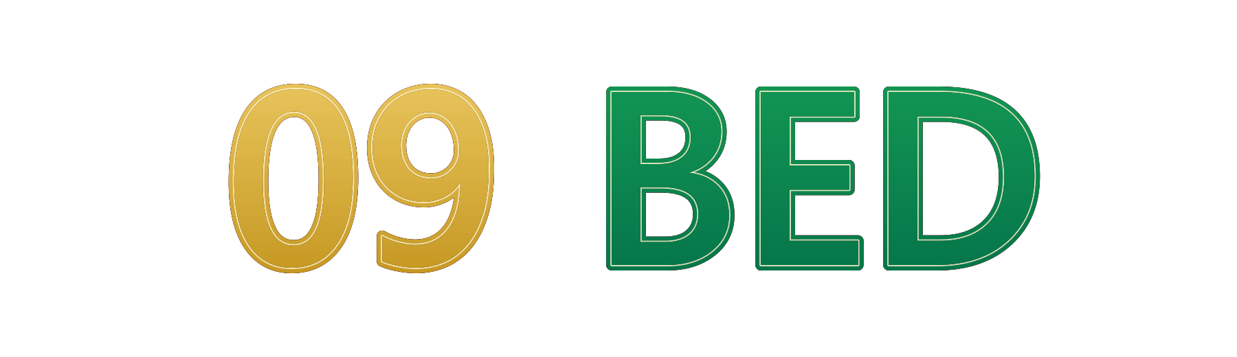 09 bed লোগো